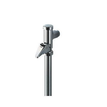 Fluxómetro 3/4'' DN20, Grohe 37139000