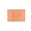 Placa de comando BLINK bronze, pneumática, OLI CG44000887610