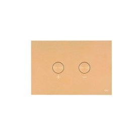 Placa de comando BLINK Ouro, pneumática, OLI CG44000883246