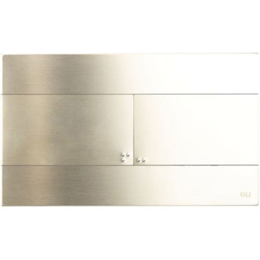Placa de comando SLIM inox escovado PVD Ouro branco dupla descarga, OLI CG23000888561