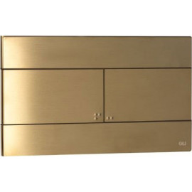 Placa de comando SLIM inox escovado PVD Ouro dupla descarga, OLI CG23000888565